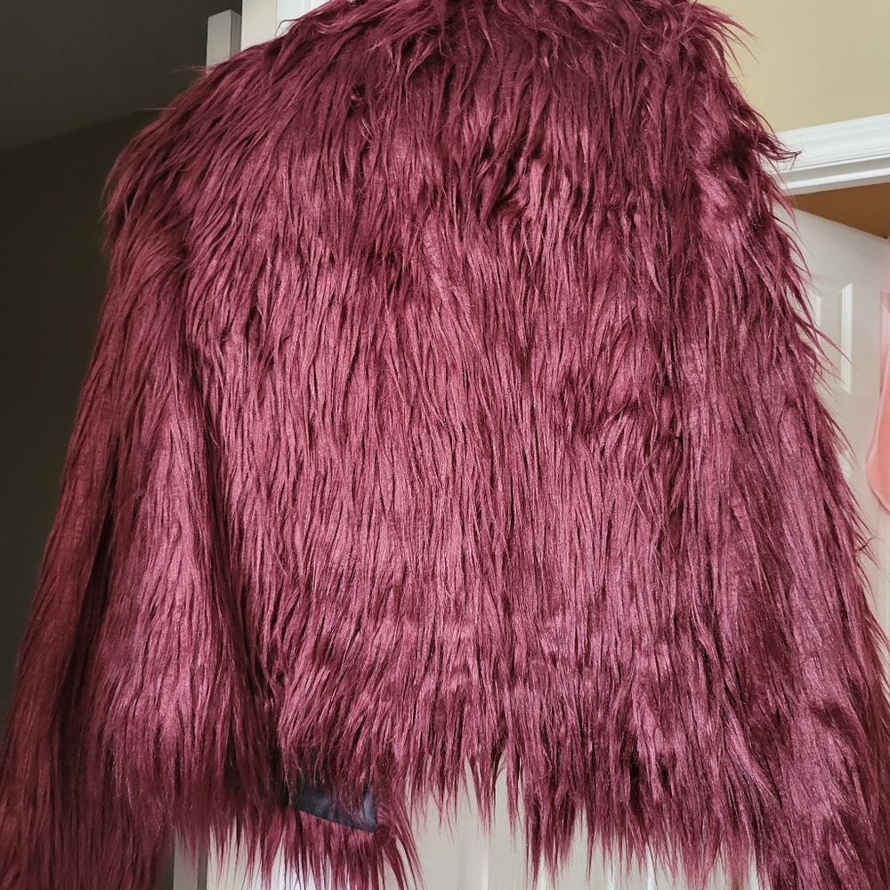 Jacket - Picture 2 of 2